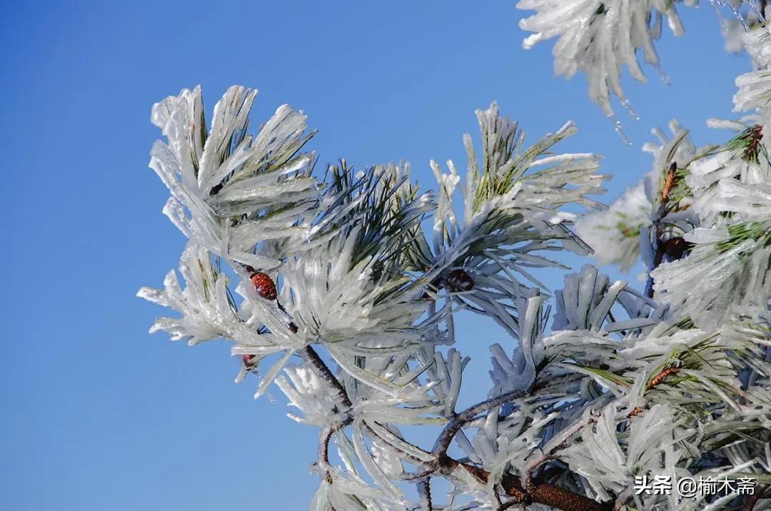 古诗雪罗隐的意思（古诗雪原文及解释）