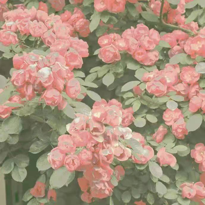 写给爸爸的话暖心短句（怎么给爸爸发关心的短信 ）