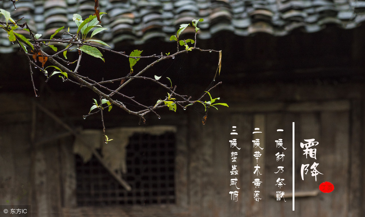 秋霜的诗句有哪些（描写秋霜的唯美句子）