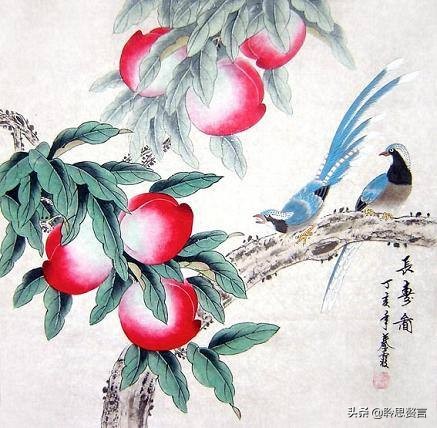 祝福生日的诗句经典语录（有关生日祝福的诗句古诗词）