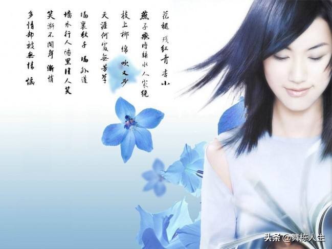 花褪残红青杏小全文赏析（解读苏轼蝶恋花花）