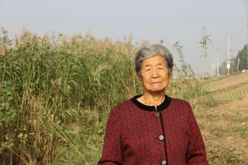 关于母爱的散文名篇（歌颂母爱的经典散文 ）