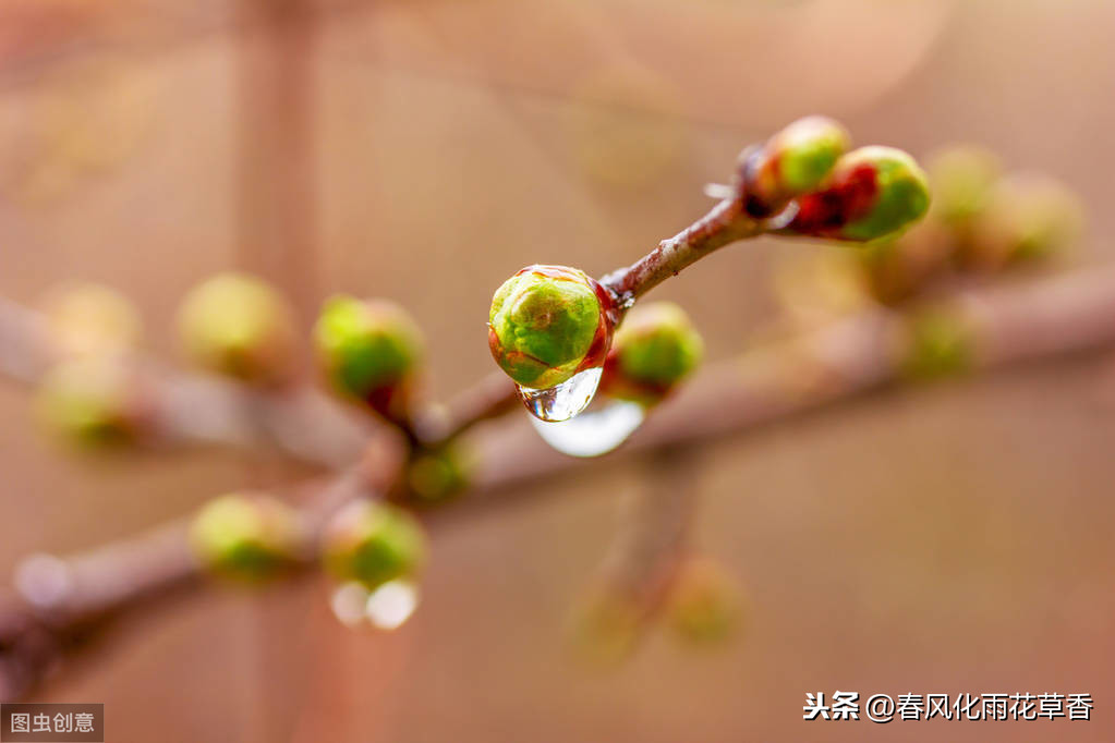 描写雨的优美段落摘抄（精选写雨的优美心情说说）