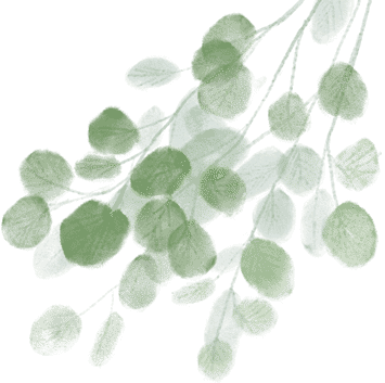 欧阳修蝶恋花原文及赏析（蝶恋花翻译及注释）