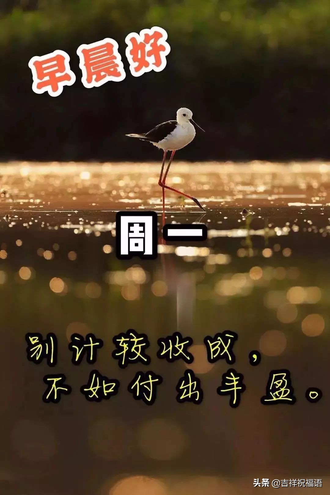 周一早上问候语温馨（适合星期一的早安心语）