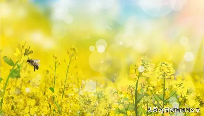 描写春景诗句有哪些（古诗中描写春景的诗句）