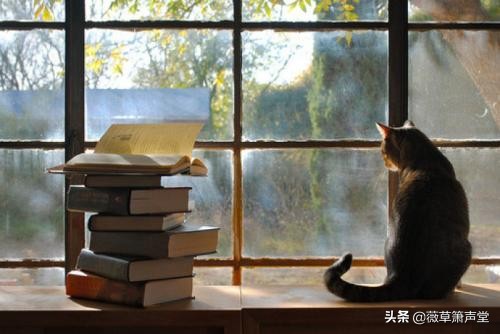 我的窃读记作文（窃读记全文阅读）