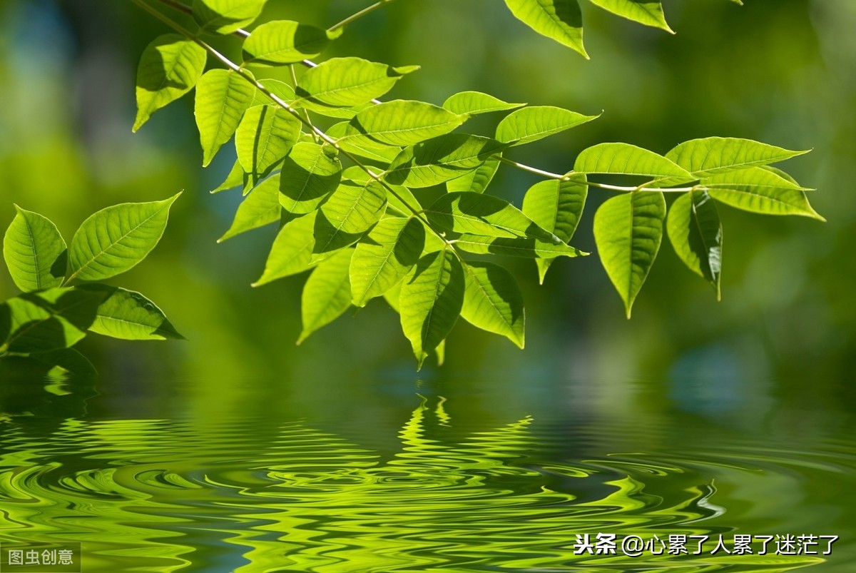安逸的生活的句子说说（人不能太安逸经典语录）