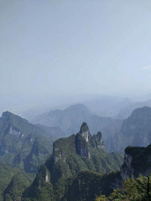 梅岭三章全诗赏析（梅岭三章中的诗的意思）