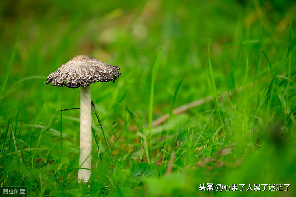 不在乎了就无所谓了经典的说说（看淡一切的精辟短句）