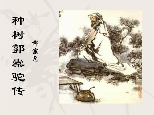 种树郭橐驼传翻译注释（原文内容及全文翻译）