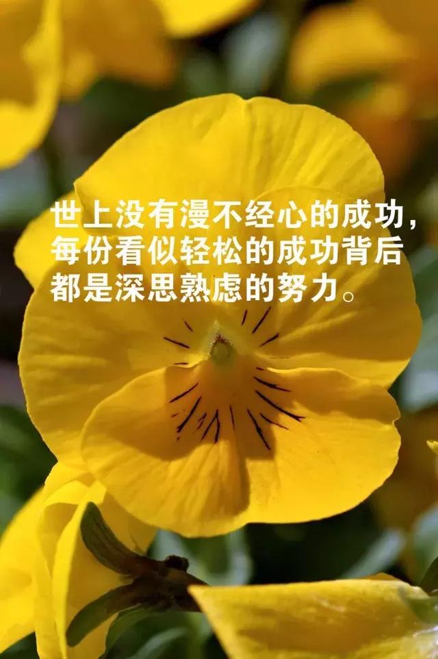 励志美文精选简短（激励人心的范文）