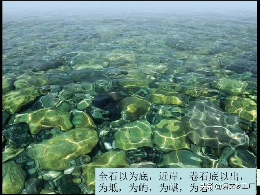 小石潭记表达了作者怎样的感情的句子（小石潭记全文解析）