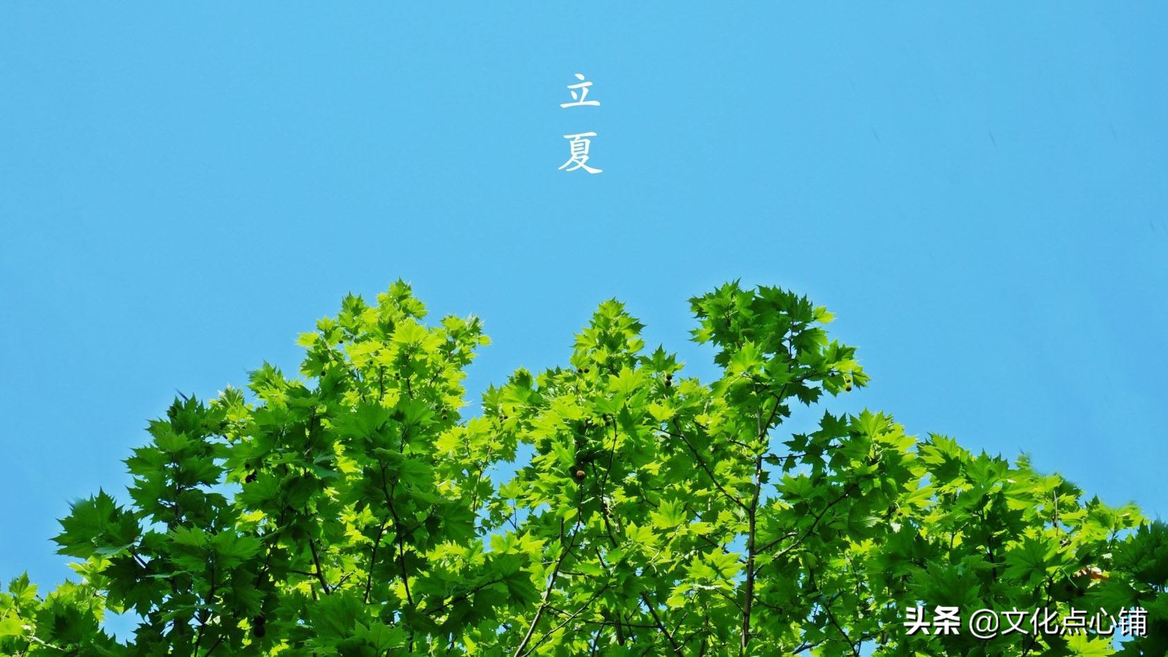 描写流年的唯美词句（带流年的唯美诗词）