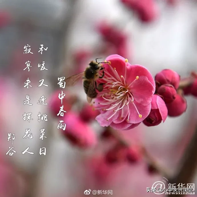关于二月二龙抬头的古诗（有关龙抬头的诗句古诗）
