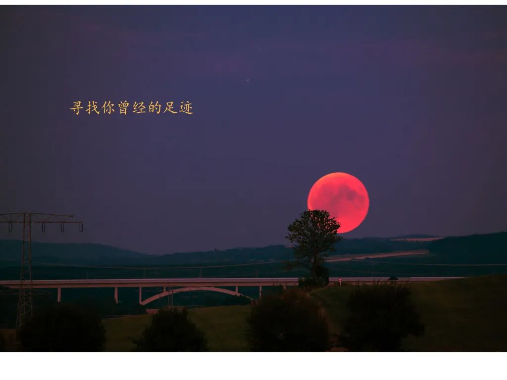 天净沙秋思古诗意思解释（天净沙全诗内容及诗意）