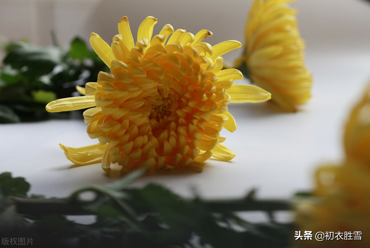 挽歌陶渊明原文翻译（陶渊明拟挽歌辞其三赏析）