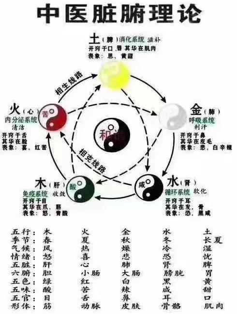 赞美医生的诗句和名言（表达真诚感谢医生的话）