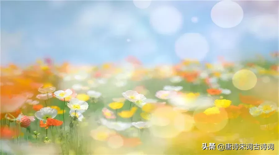 虞美人古诗原文及翻译（虞美人原文翻译及赏析）