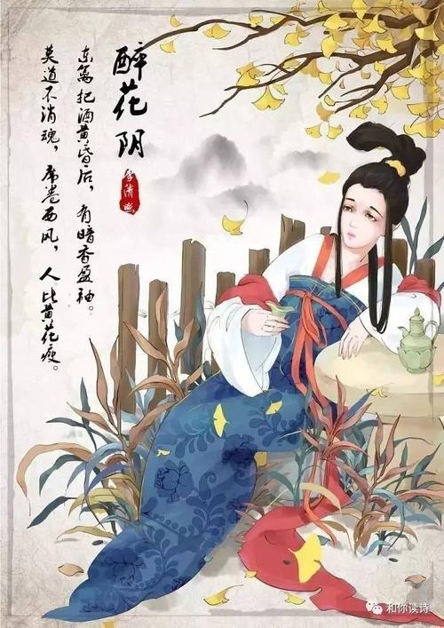 醉花阴李清照赏析翻译（醉花阴诗意解析）