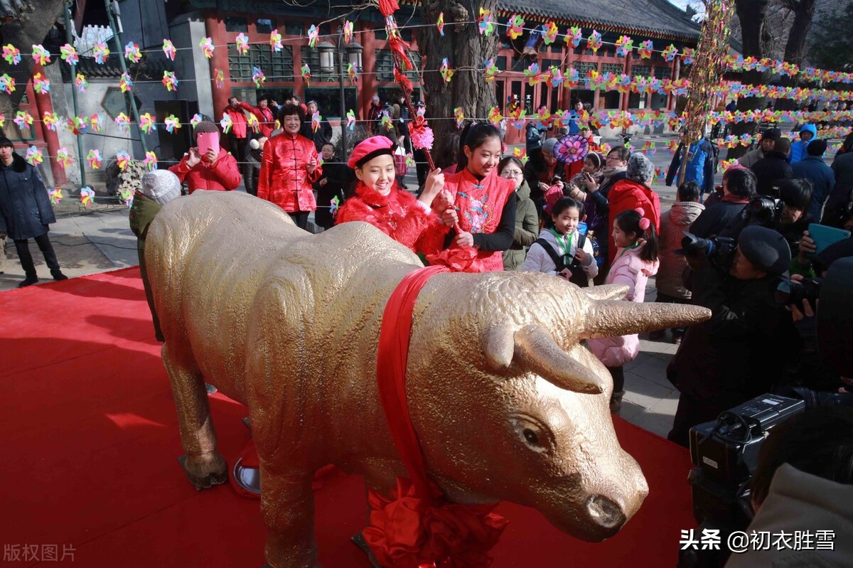 关于立春的诗句古诗（春天的诗句大全）