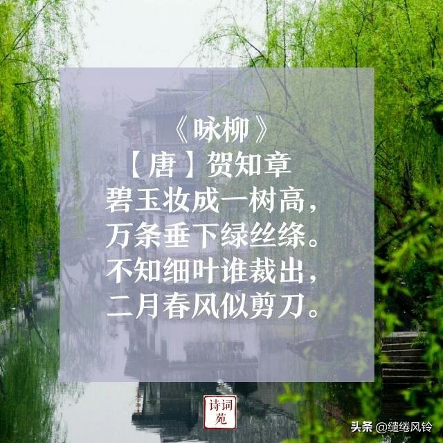 托物言志的诗有哪些（有关托物言志的10首名诗）