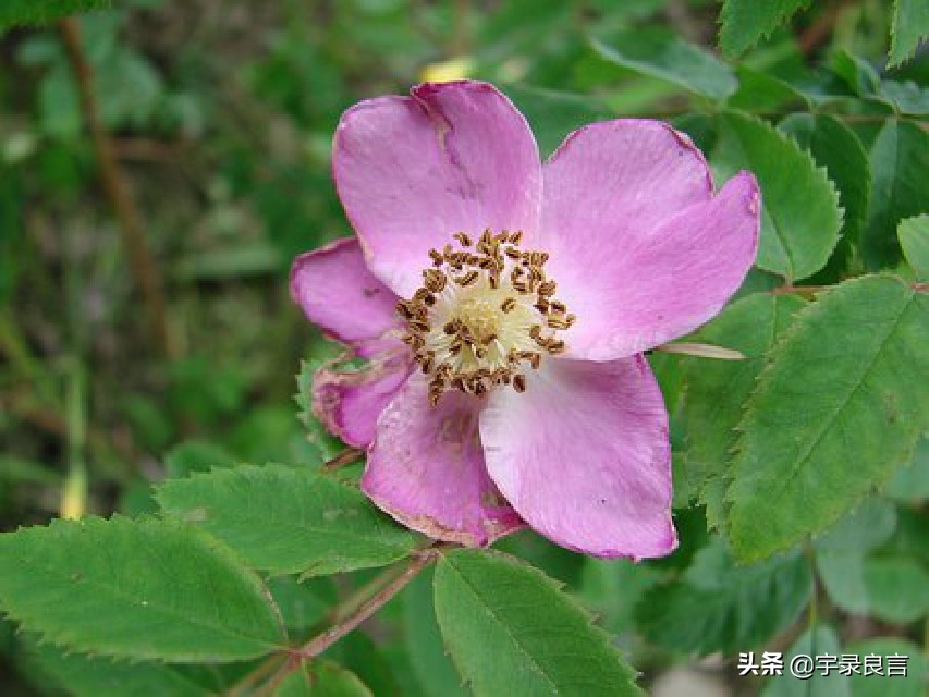 女人必须变美的说说（女人爱美的正能量语录）