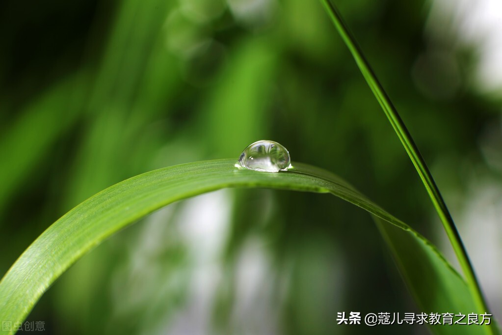 感恩父母的诗歌简短（表达对父母感恩的诗句名言）