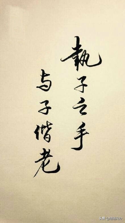 伤感八个字的唯美句子（唯美忧伤的八字金句）