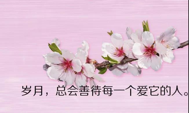 好心情的句子短语（表达自己过得好的句子）