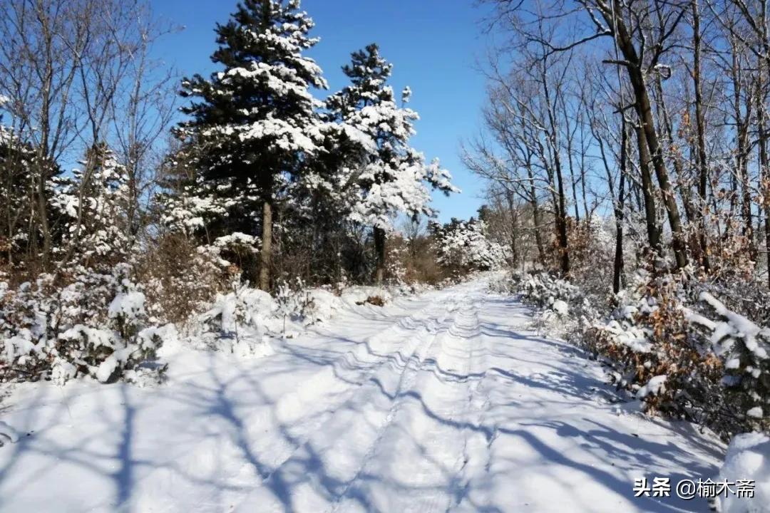 古诗雪罗隐的意思（古诗雪原文及解释）
