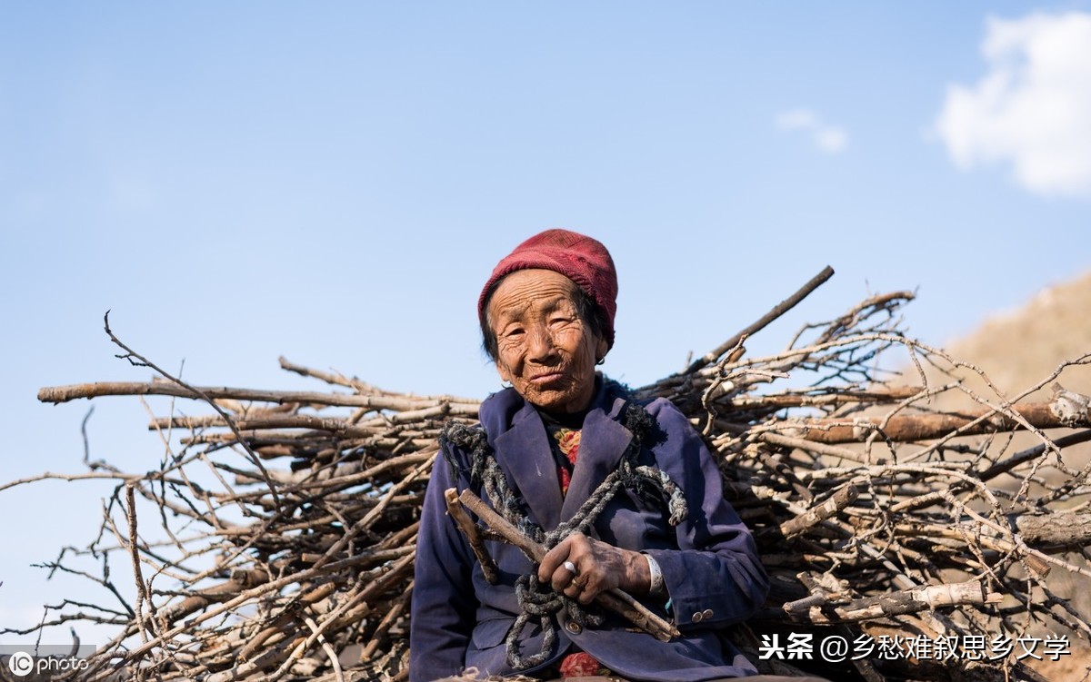 落叶是疲倦的蝴蝶赏析（关于蝴蝶的唯美短句）