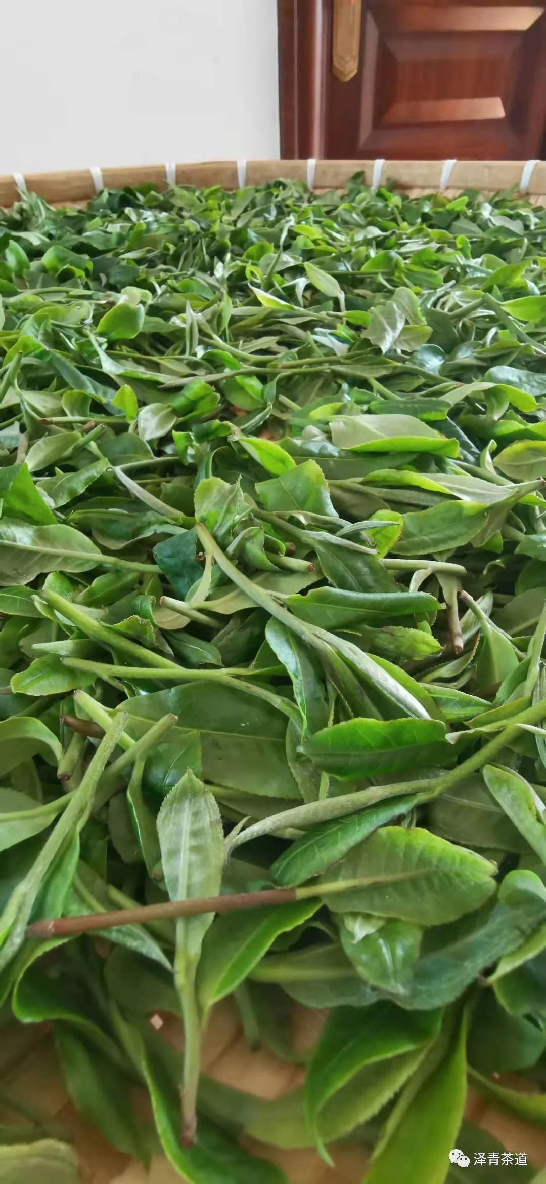 春茶的诗句唯美（三月春茶美好句子）