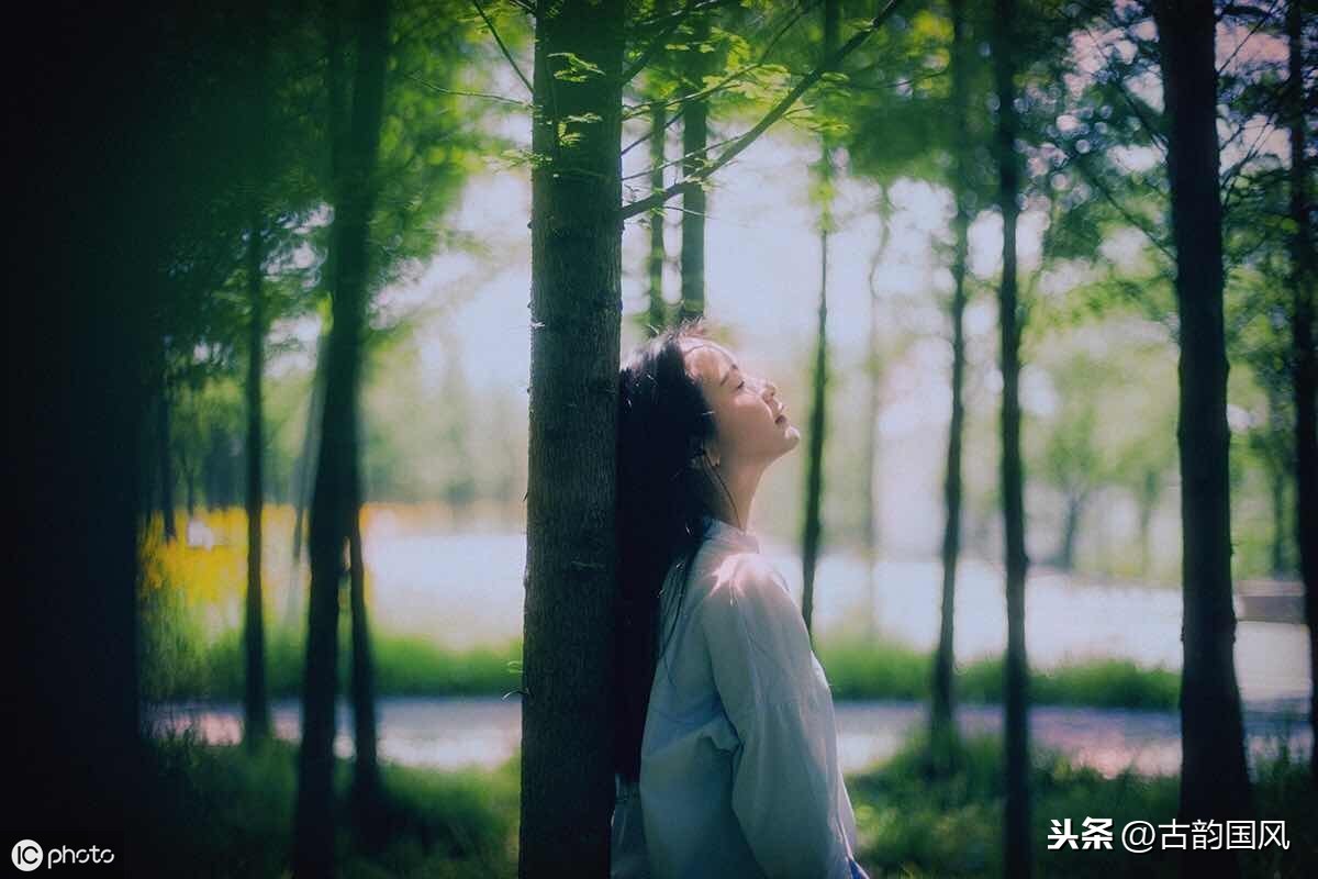 惜时诗句有哪些（10首惜时古诗词）