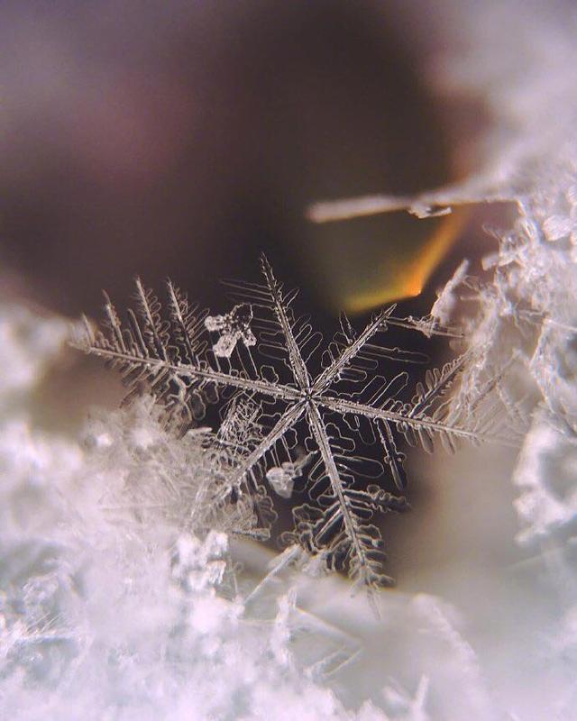 后悔自己选择的婚姻的说说（嫁错人了的说说短语）