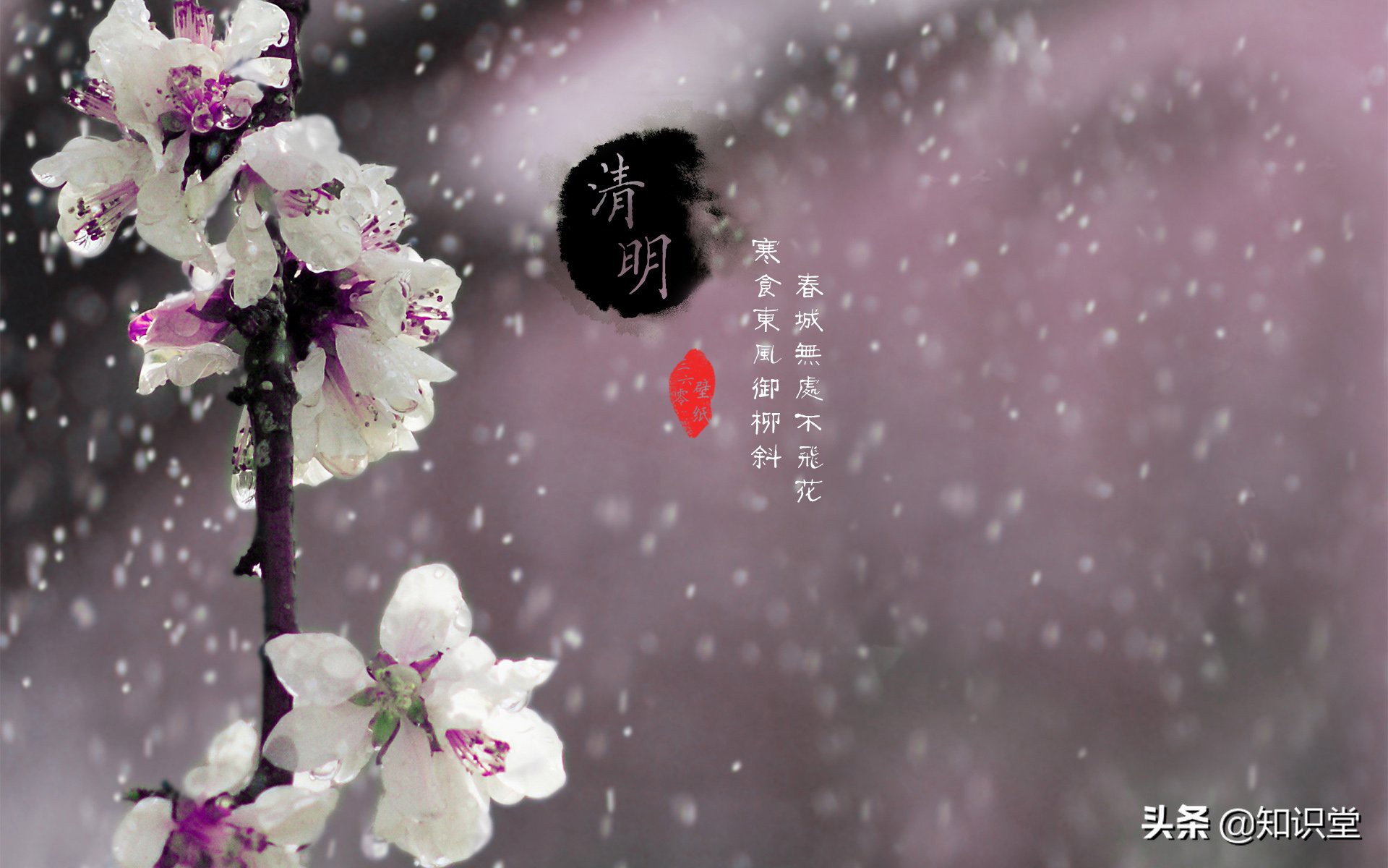 清明节祭祀的心情句子（关于清明悲伤的心情说说）