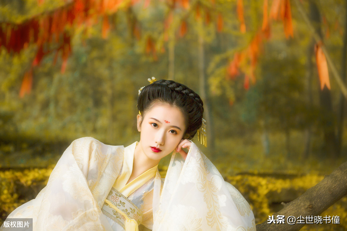 蝶恋花李清照翻译（蝶恋花全诗诗意解读）