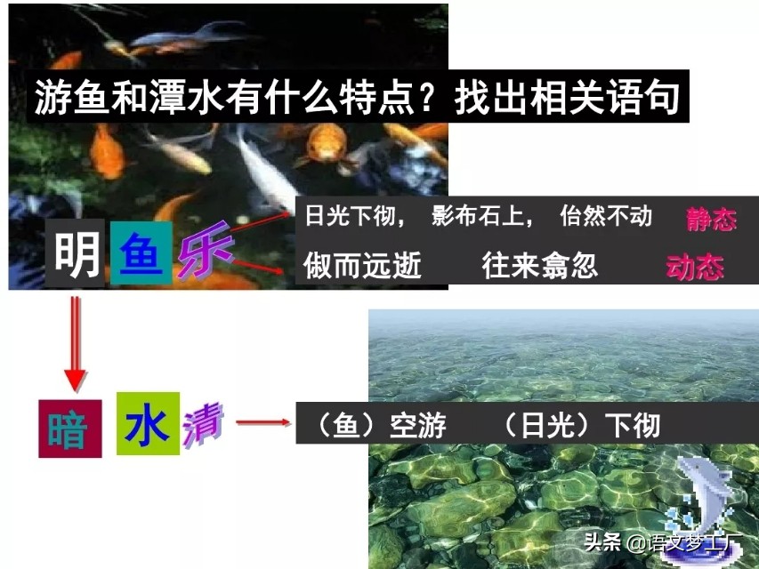 小石潭记表达了作者怎样的感情的句子（小石潭记全文解析）
