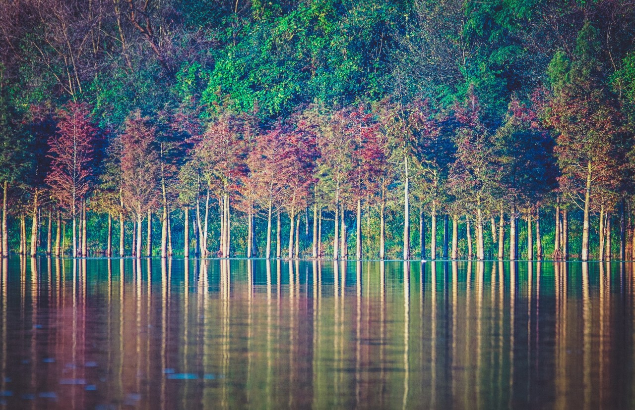 李白最美的诗又简单的诗（最唯美的古诗词欣赏）