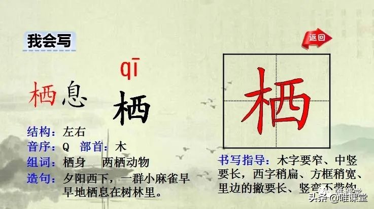 十五夜望月的意思翻译（十五夜望月全文知识点）