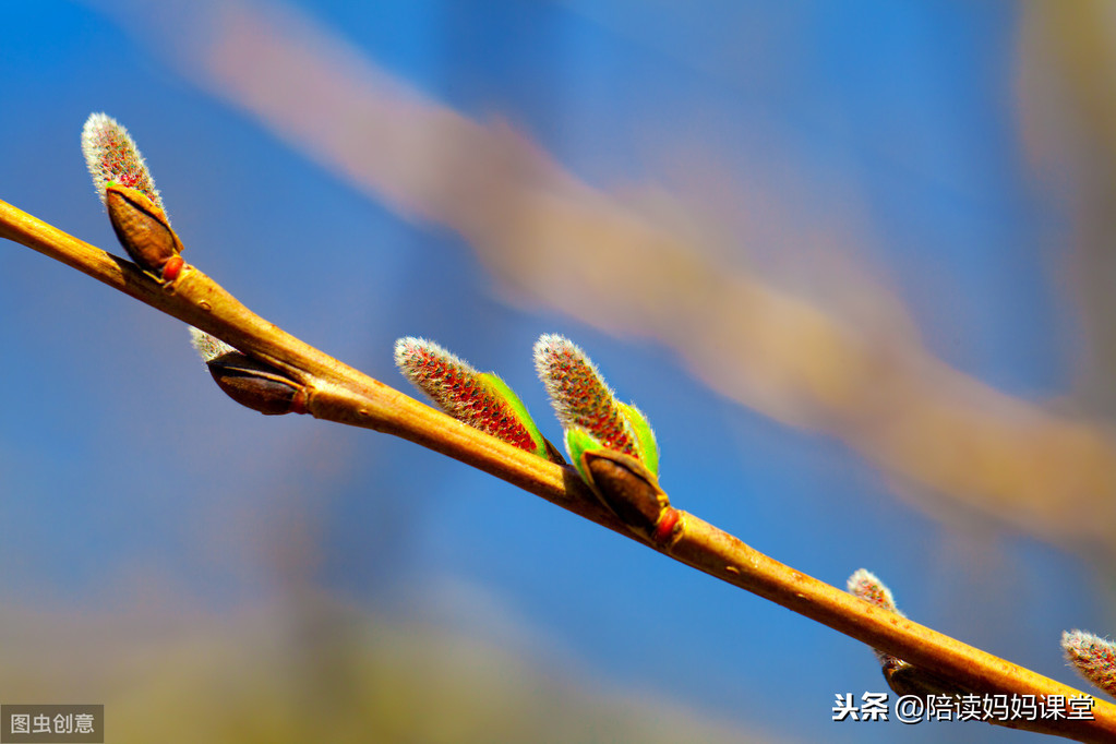 写景的句子摘抄简短（写景的好词好句好段大全）