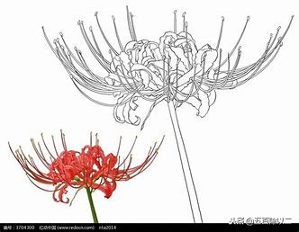 关于彼岸花的诗句（彼岸花语录伤感）