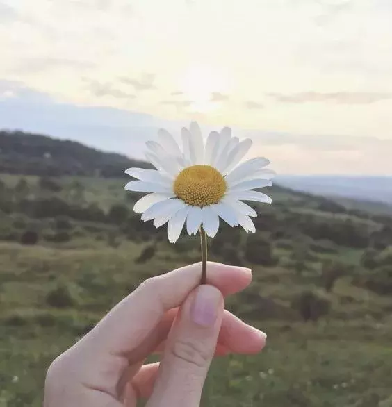 圣经金句必背洁净心灵的句子（《圣经》中的十句金句）