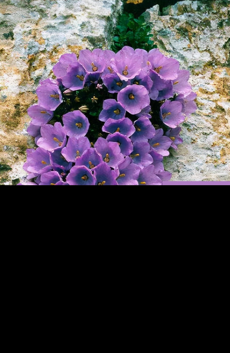 珍惜时光的诗句古诗（珍惜时间的经典句子 ）