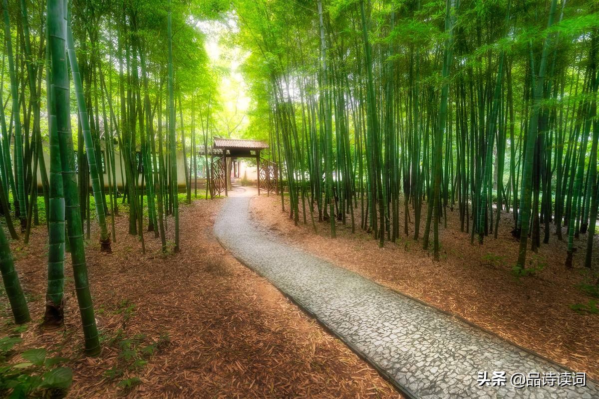 雨过山村古诗赏析（雨过山村注释及翻译）
