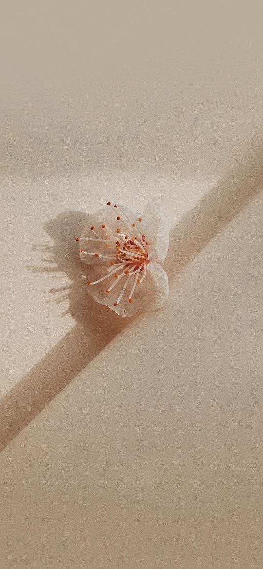 祝福的句子唯美简短（关于祝福的唯美句子）