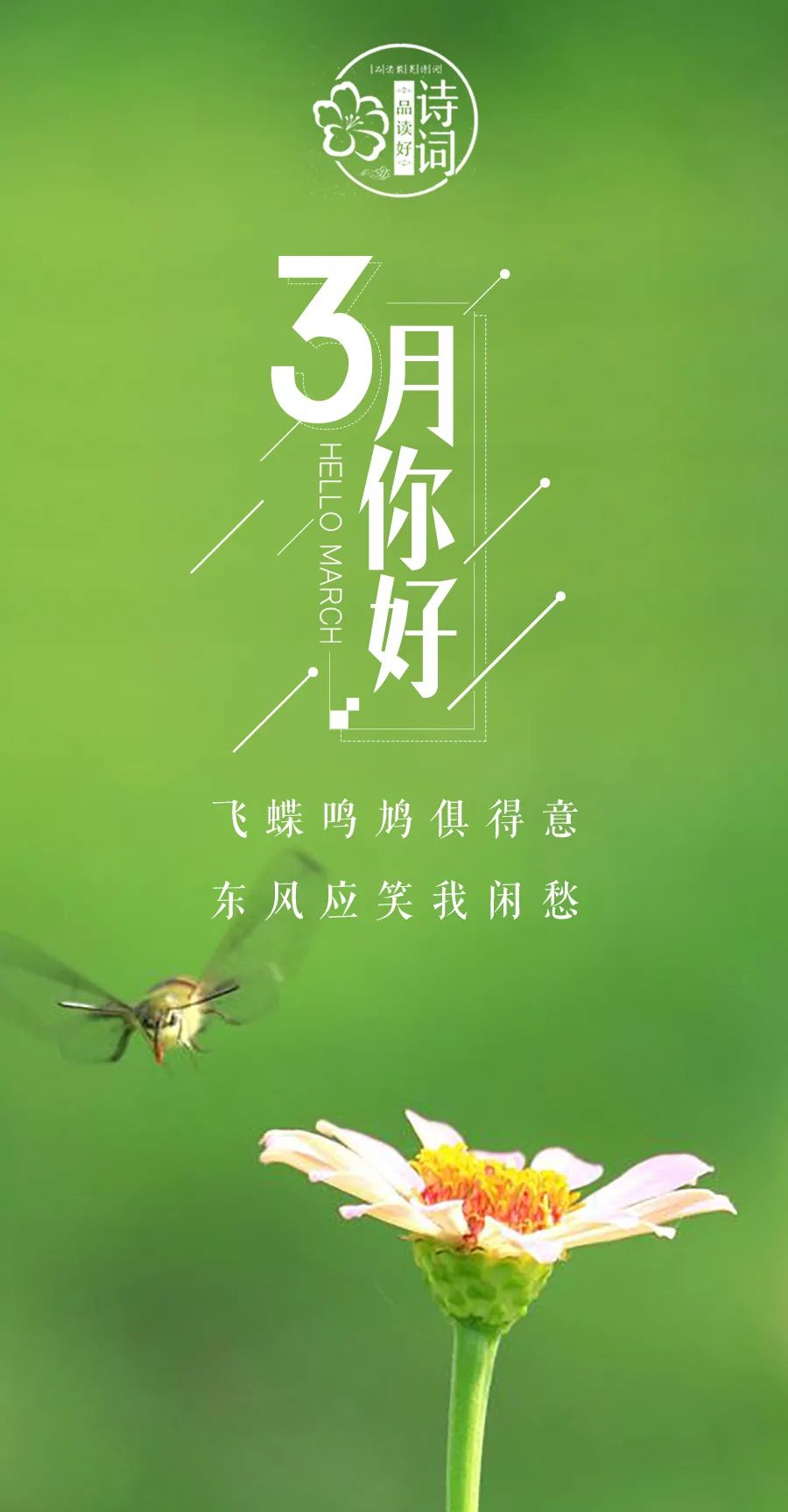 形容三月春光好的诗句（三月的诗词唯美描写）
