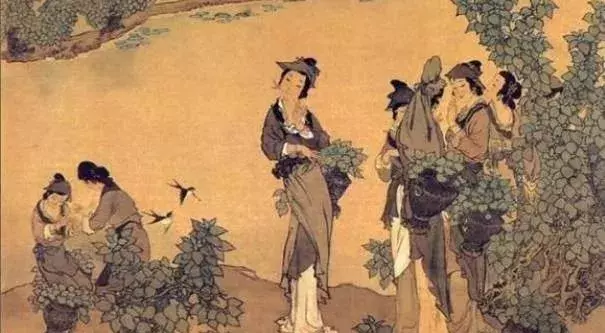 浣溪沙晏殊赏析简短（浣溪沙晏殊逐句赏析）
