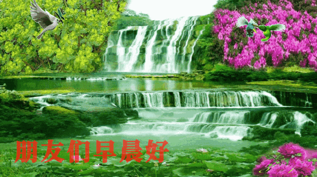 夏天早上问好的句子（唯美励志的早安语录）