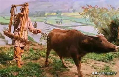 关于包青天的故事简短（包青天简介简短故事）